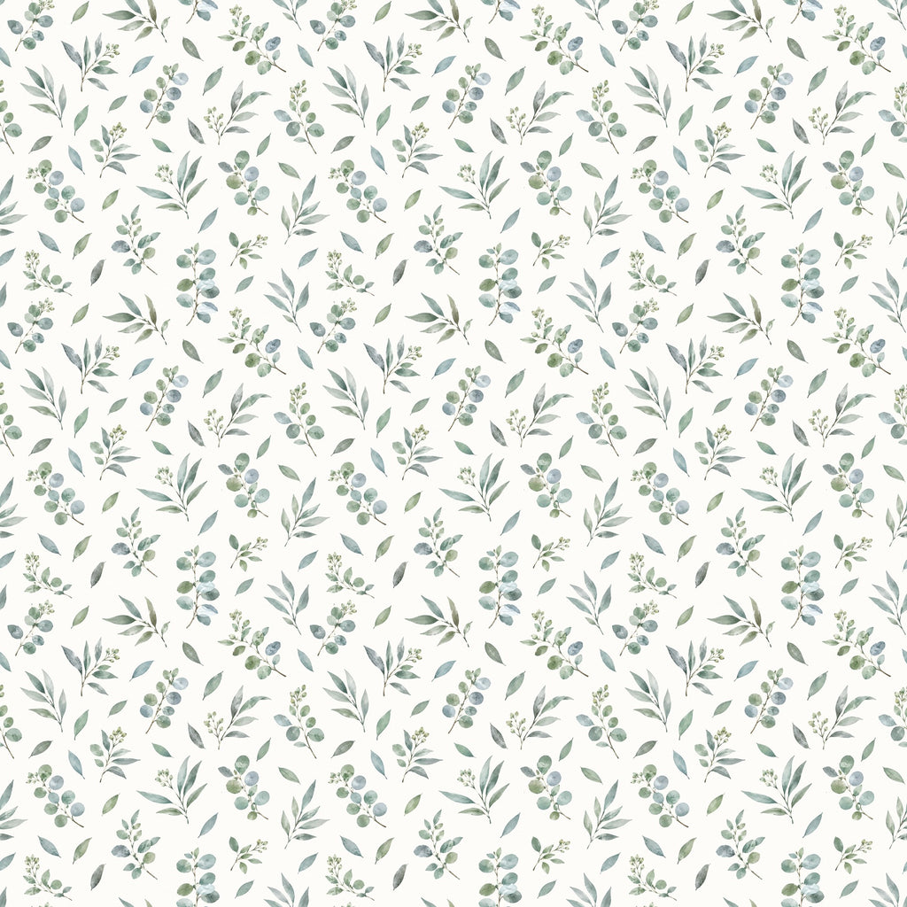 Branches d'eucalyptus aquarelle, papier peint à plat