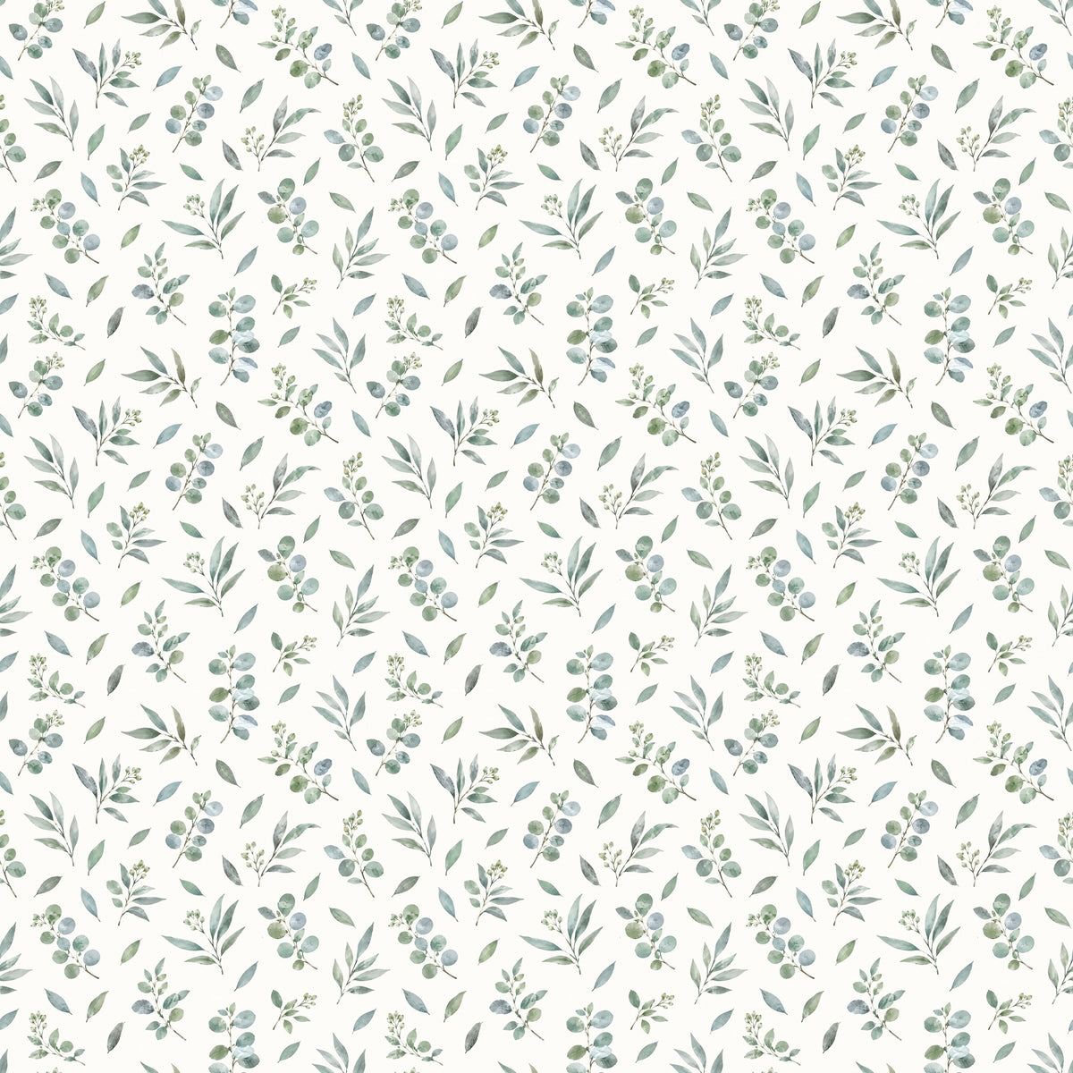 Branches d'eucalyptus aquarelle, papier peint à plat