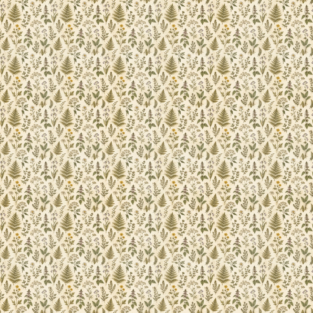 Herbier de fougères et fleurs sauvages, papier peint à plat