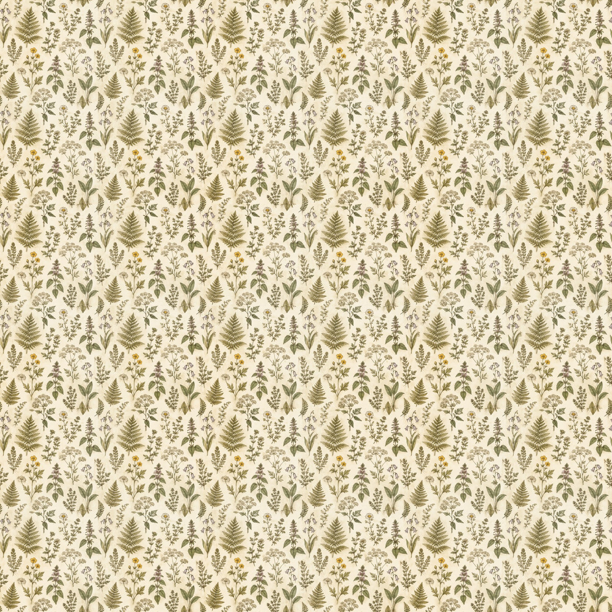 Herbier de fougères et fleurs sauvages, papier peint à plat