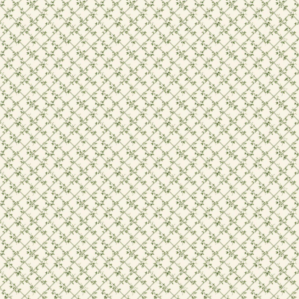 Treillage fleuri vert sauge, papier peint à plat