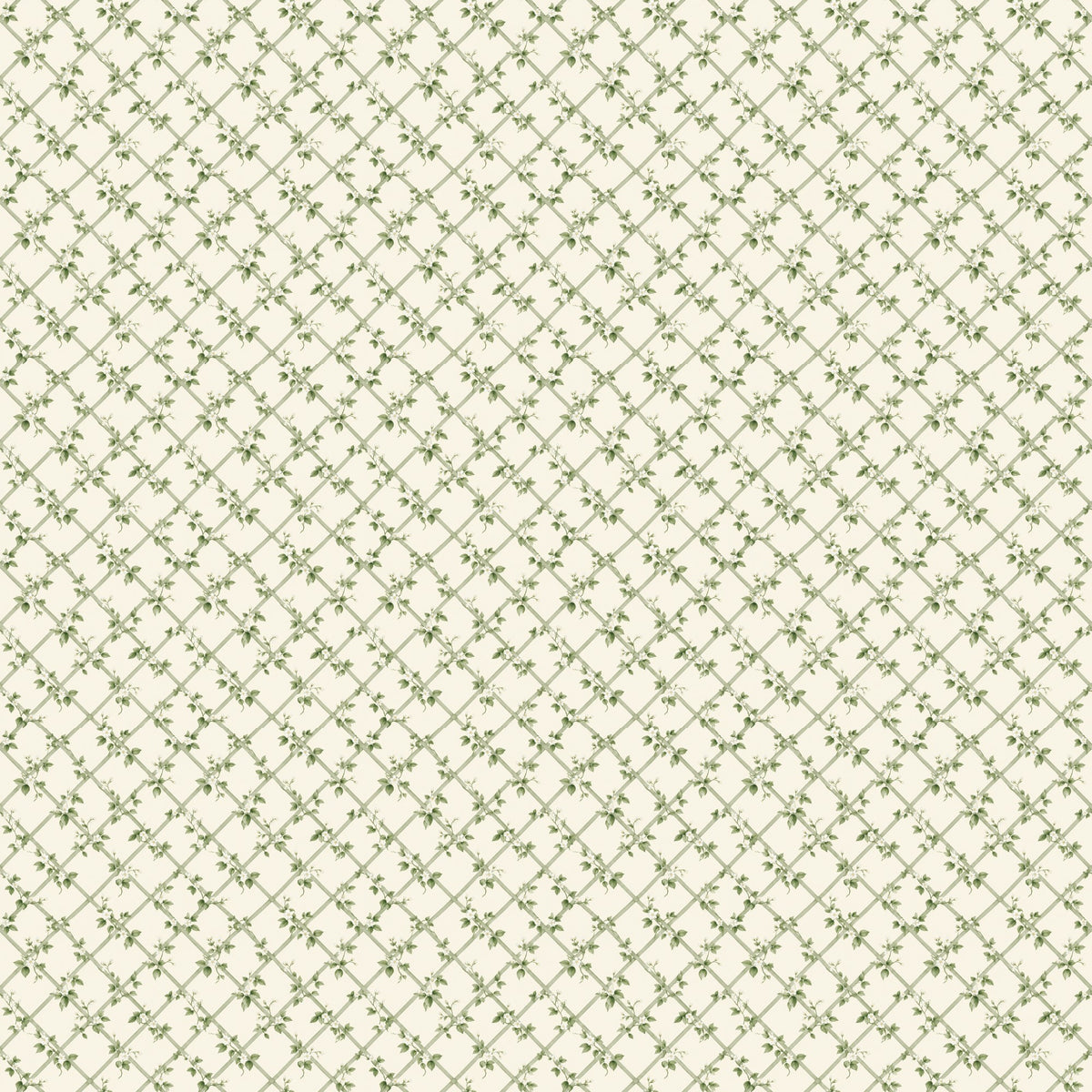 Treillage fleuri vert sauge, papier peint à plat