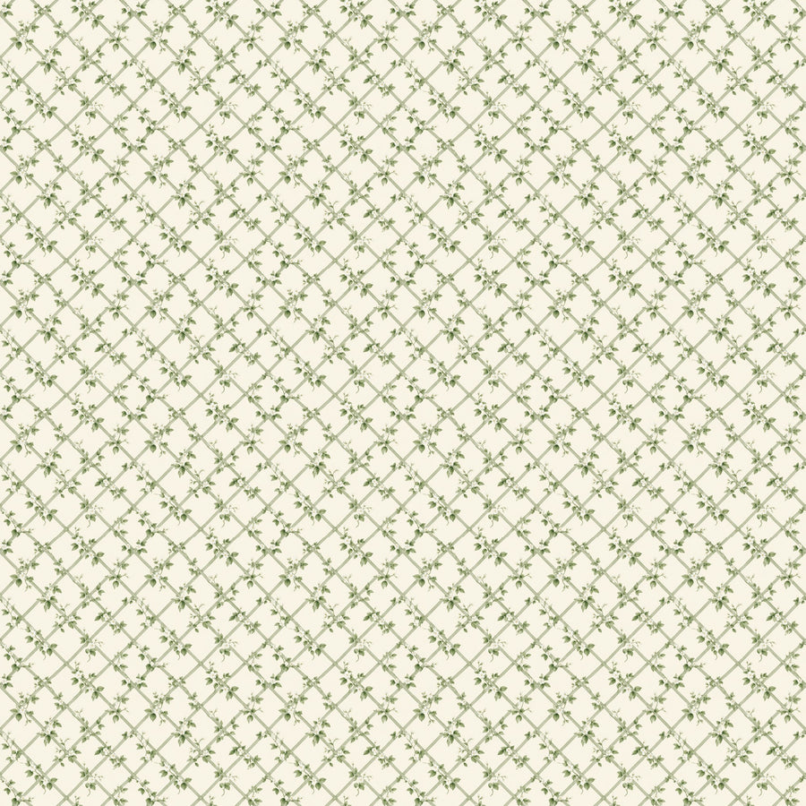 Toile autocollante