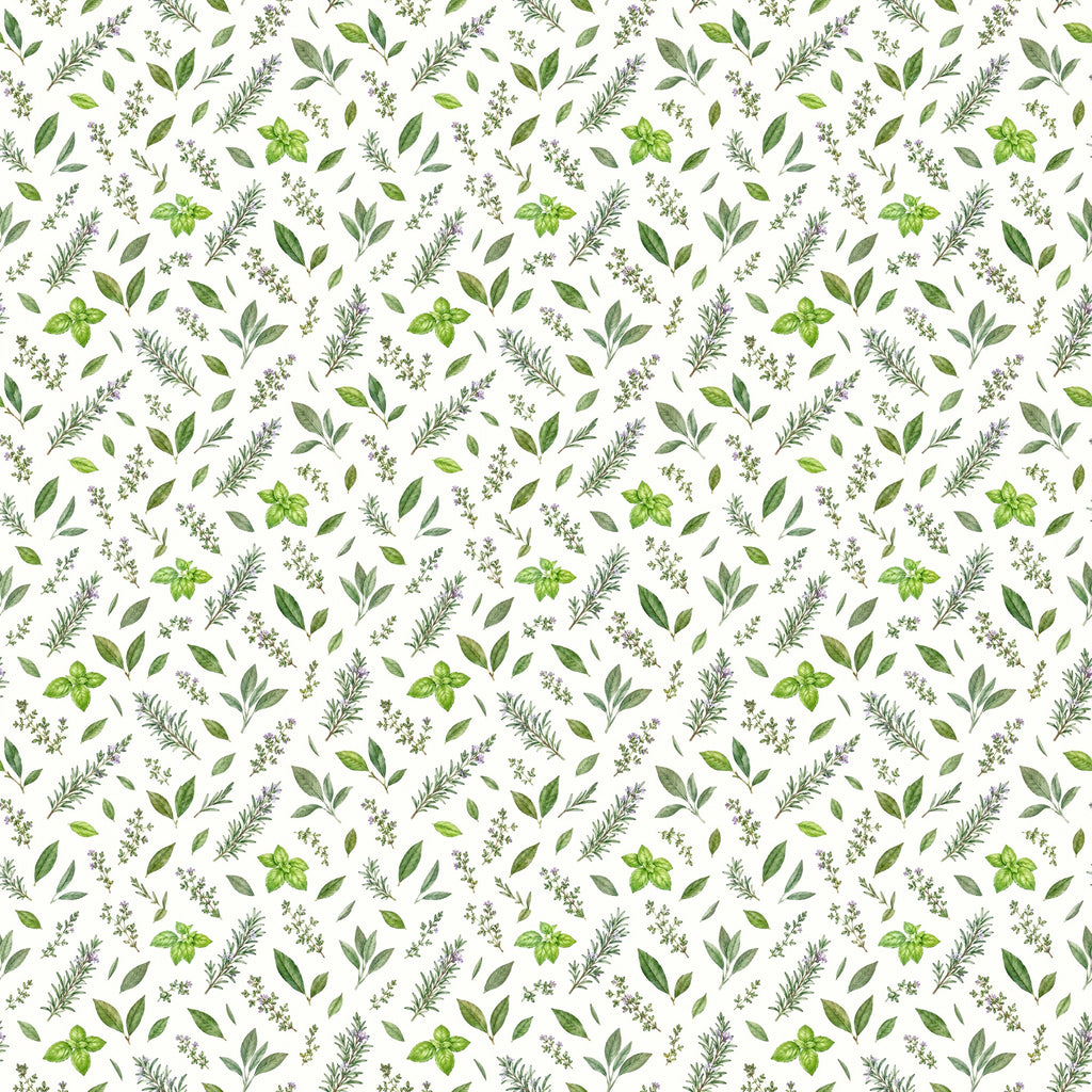 Herbes aromatiques à l'aquarelle, papier peint à plat