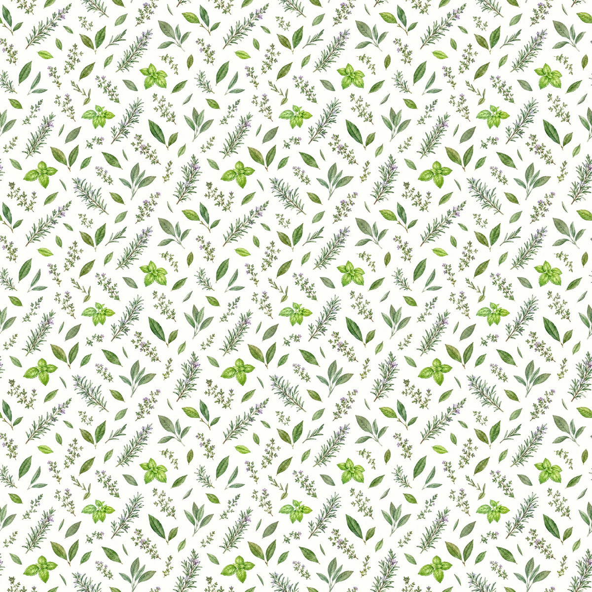 Herbes aromatiques à l'aquarelle, papier peint à plat