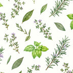 Herbes aromatiques à l'aquarelle, papier peint en gros plan