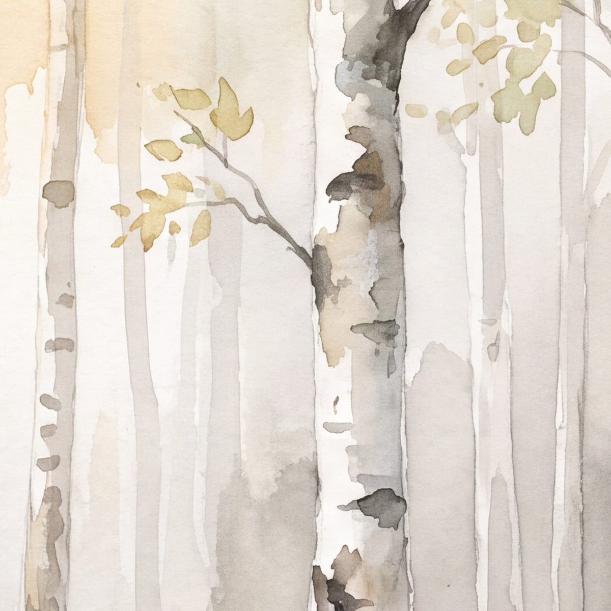 Forêt de bouleaux brumeuse, papier peint en gros plan